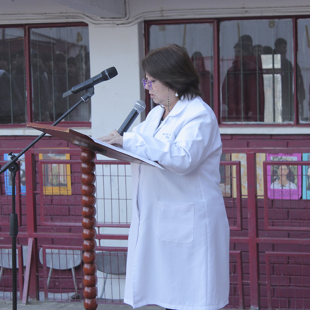 Piocha 7° Básico 2026